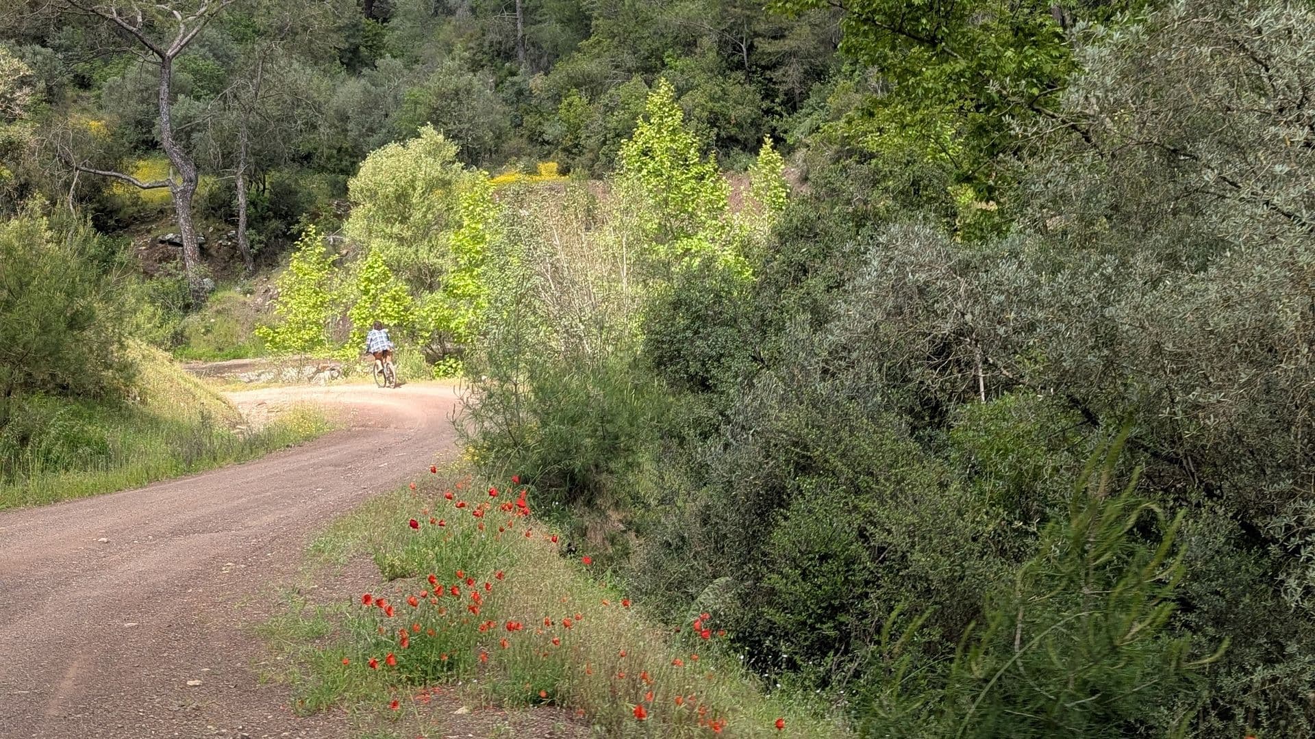 Гид по Чиралам #1