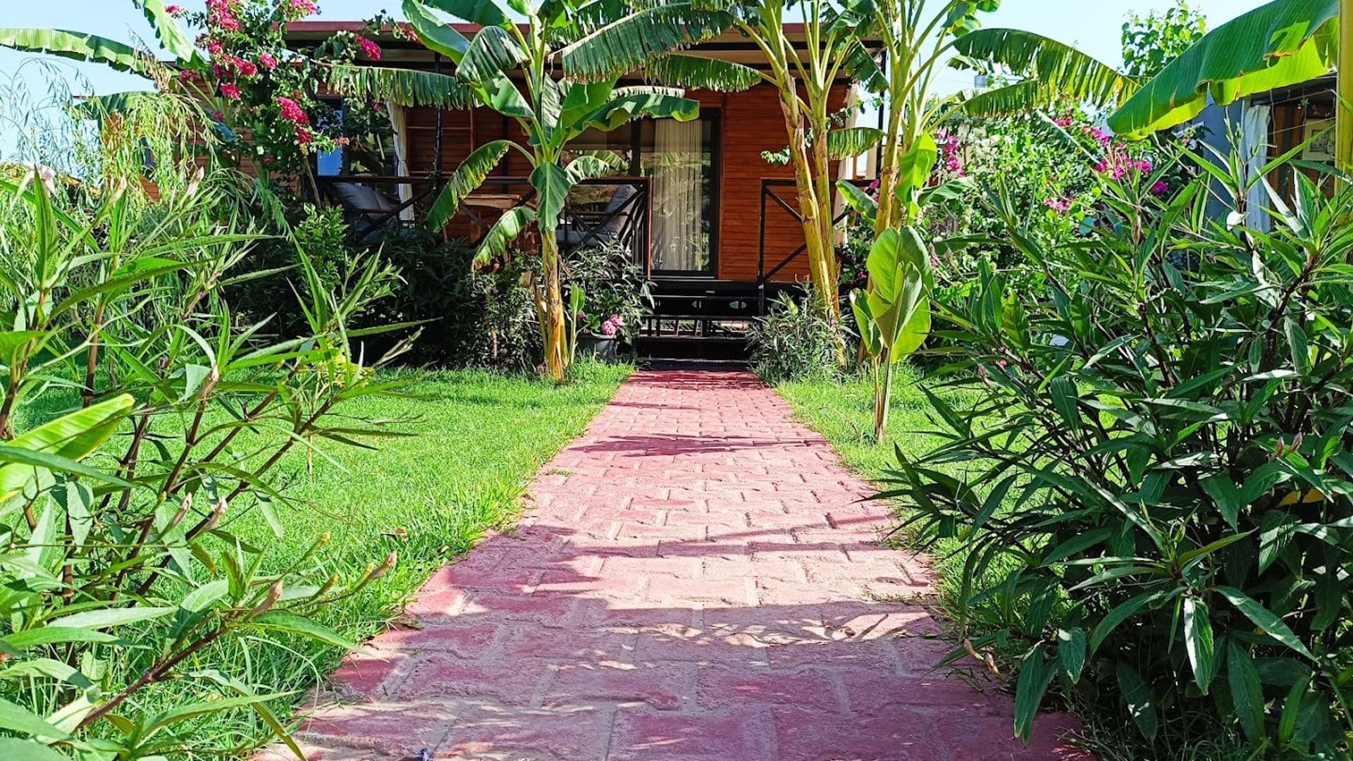 Arlin Bungalows Chimeara-Çıralı