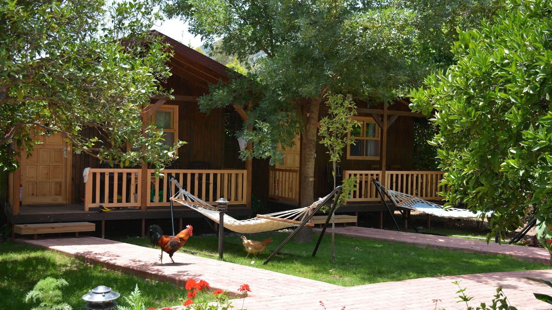 Caretta Caretta Pension