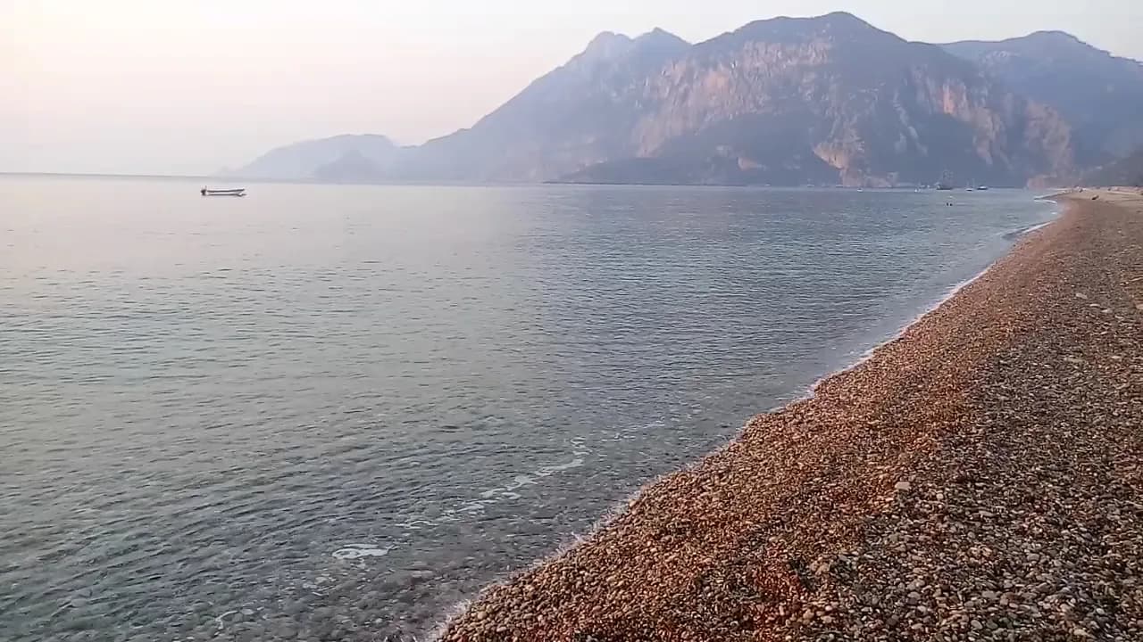 Caretta Caretta Pension