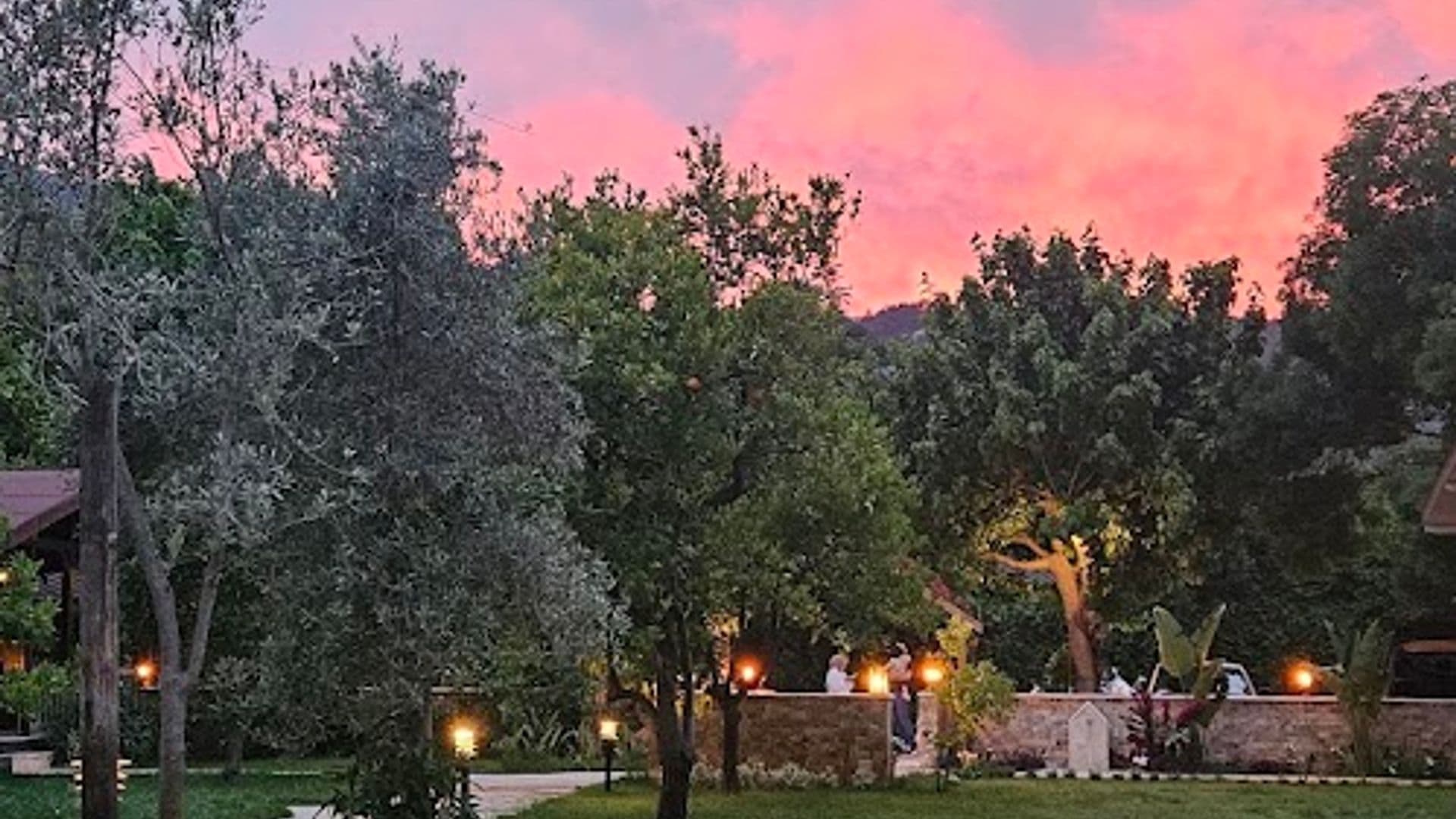 Caretta Caretta Pension