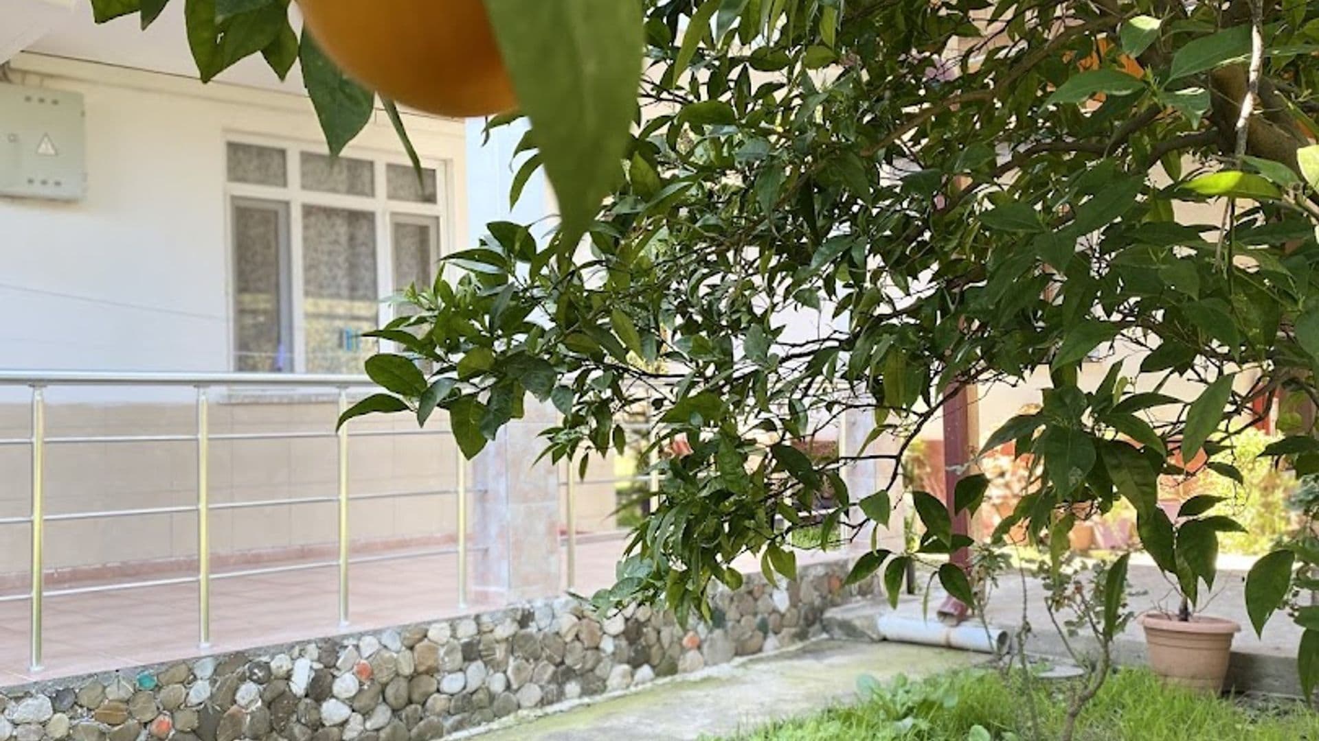 Çıralı Irmak Hotel