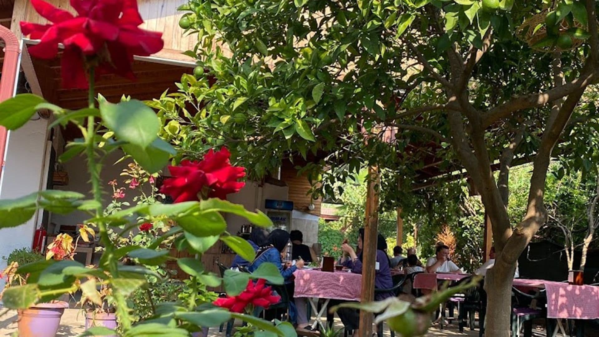 Çıralı Irmak Hotel