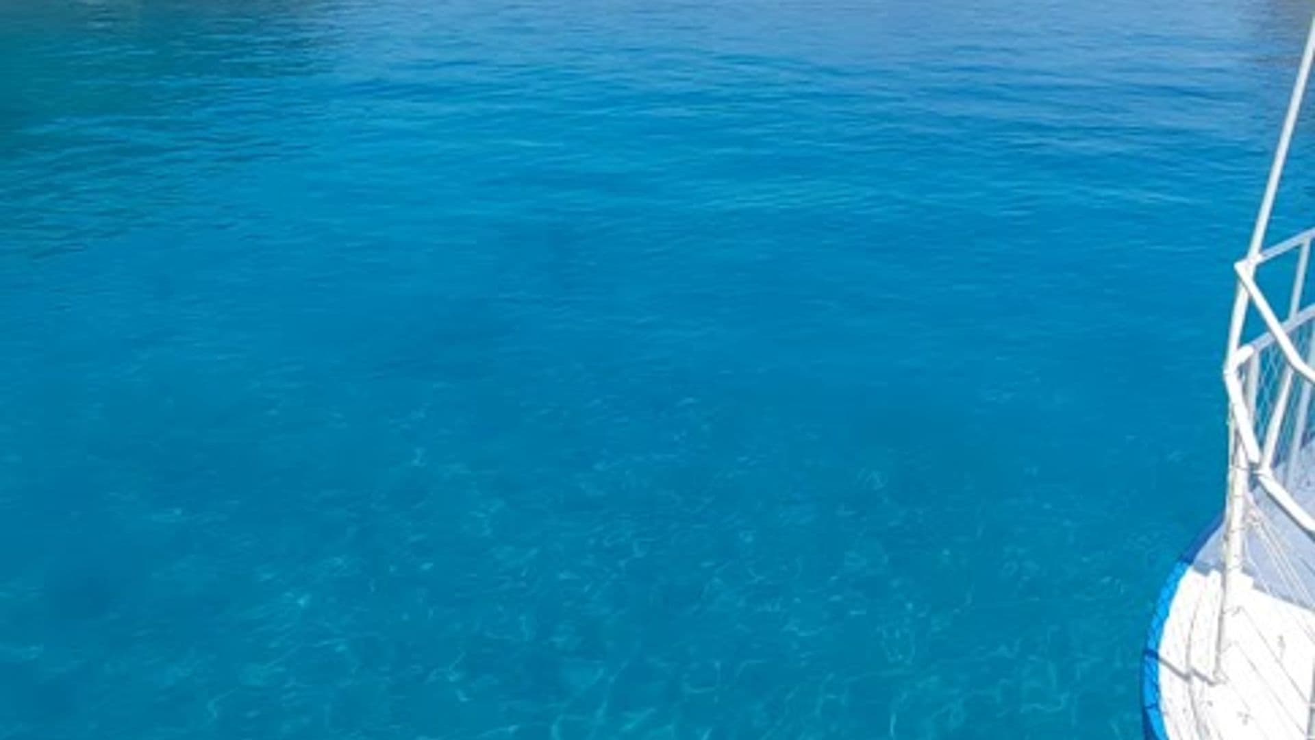 Çıralı Tekne & Yat Turu - Boat Tour