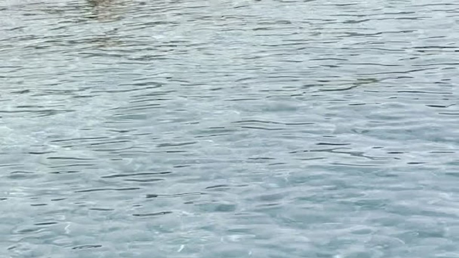 Çıralı Tekne & Yat Turu - Boat Tour