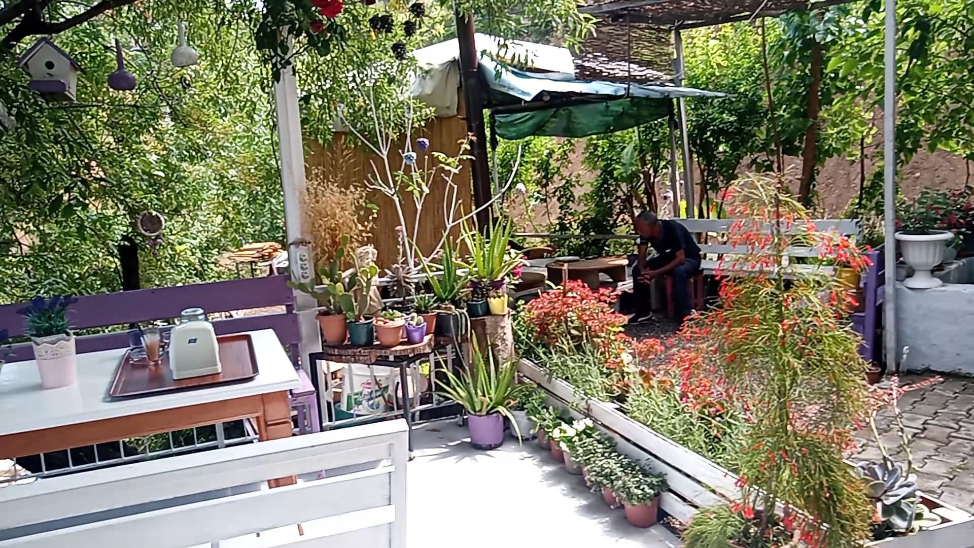 Lavanta Bahçe & Cafe