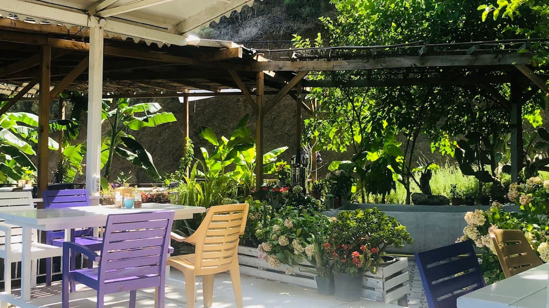 Lavanta Bahçe & Cafe