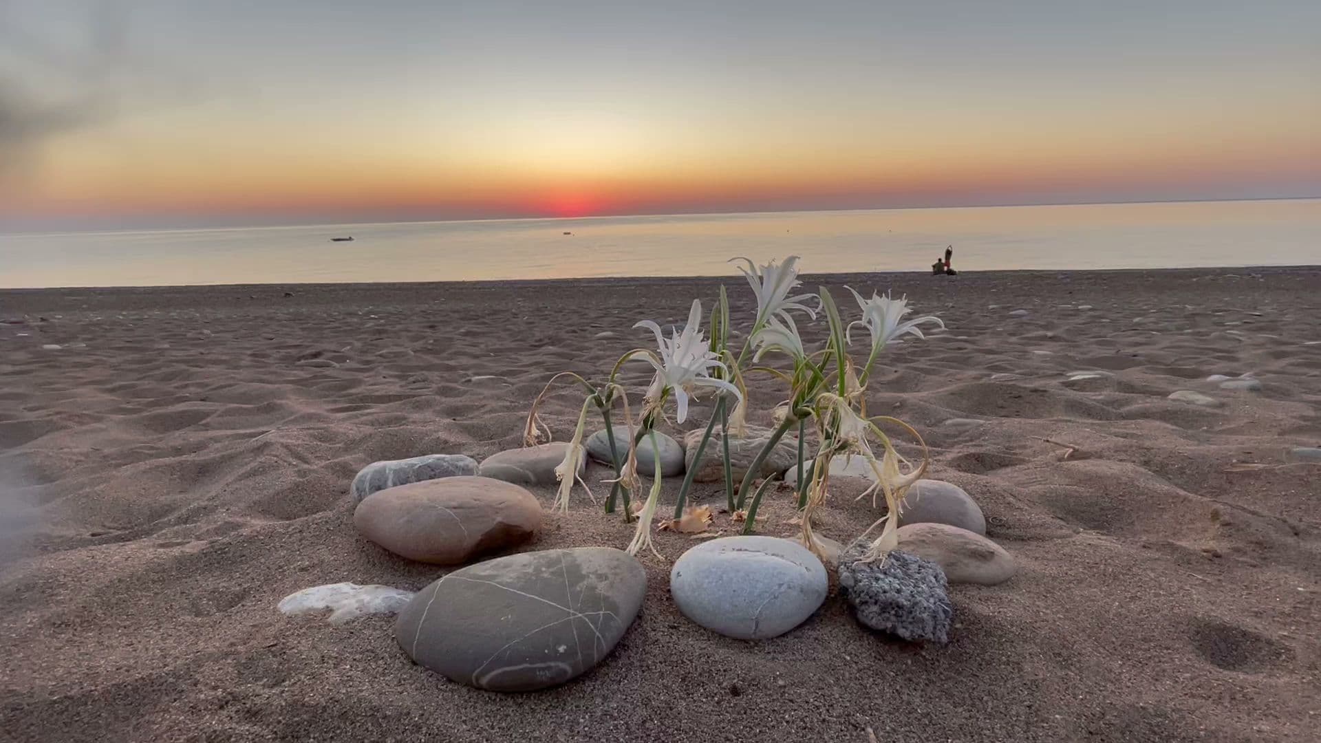 Lavinya Camping & Bungalows