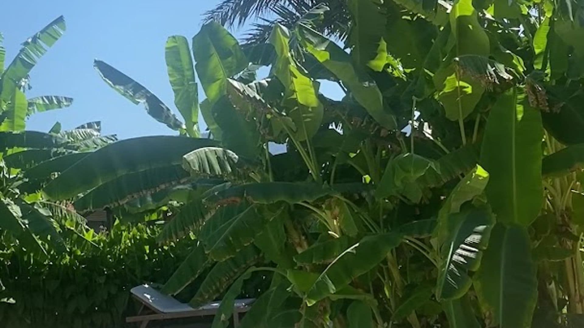 Nun BungaLove Çıralı