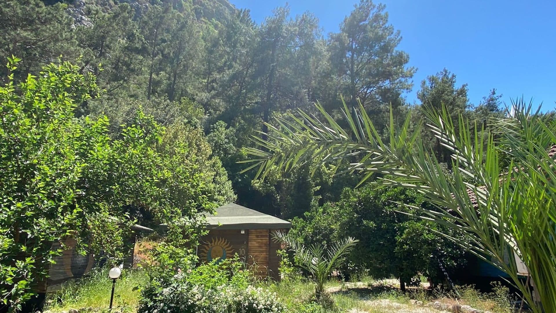 Maya Olympos Bungalow-Pansiyon-Otel-Konaklama
