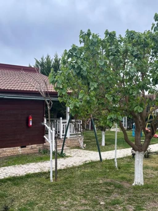 ŞAH apart - One-Bedroom Villa