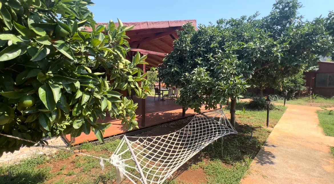 Çıralı Anka Bungalov Hotel