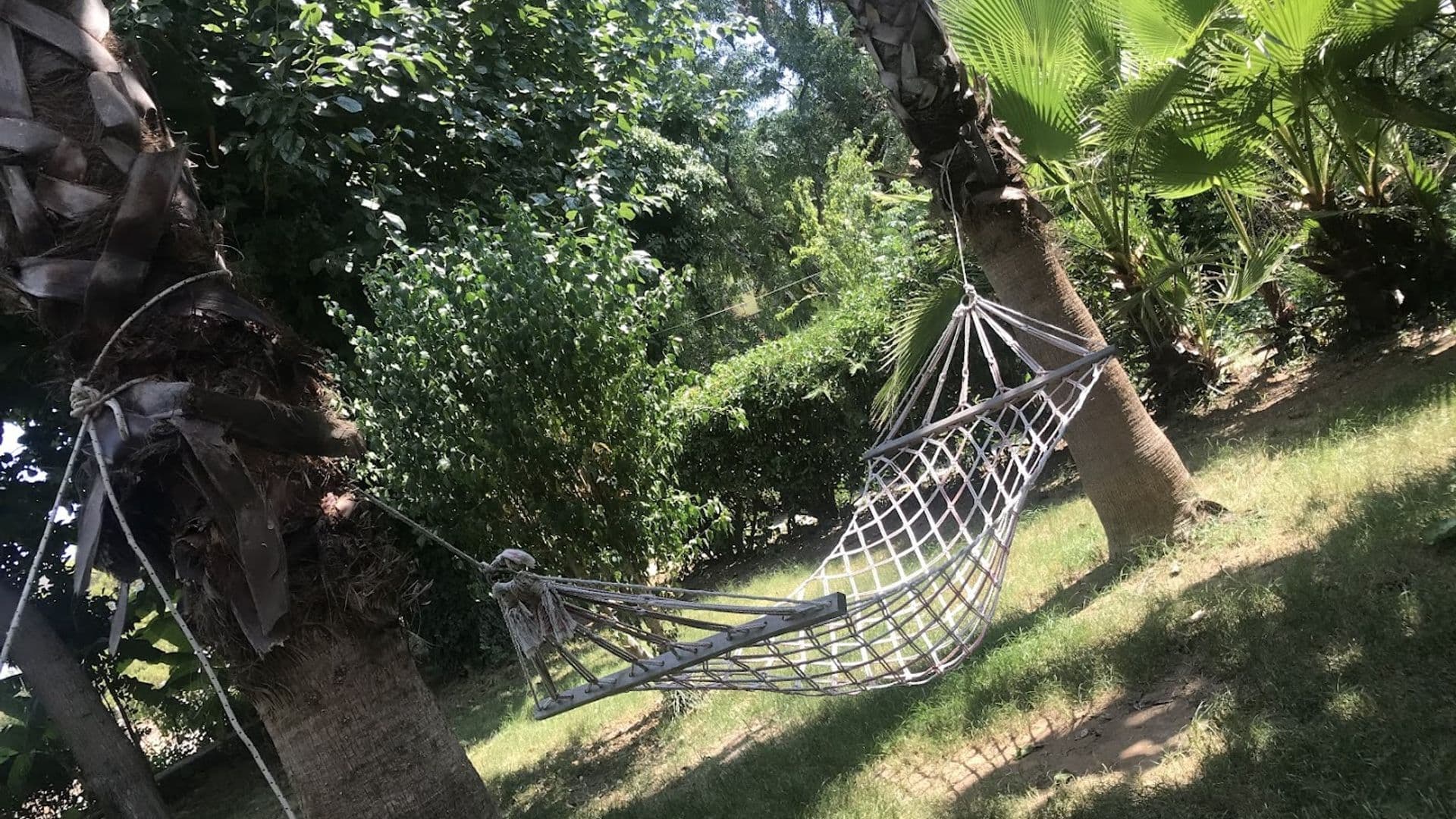 Rose Bed & Breakfast