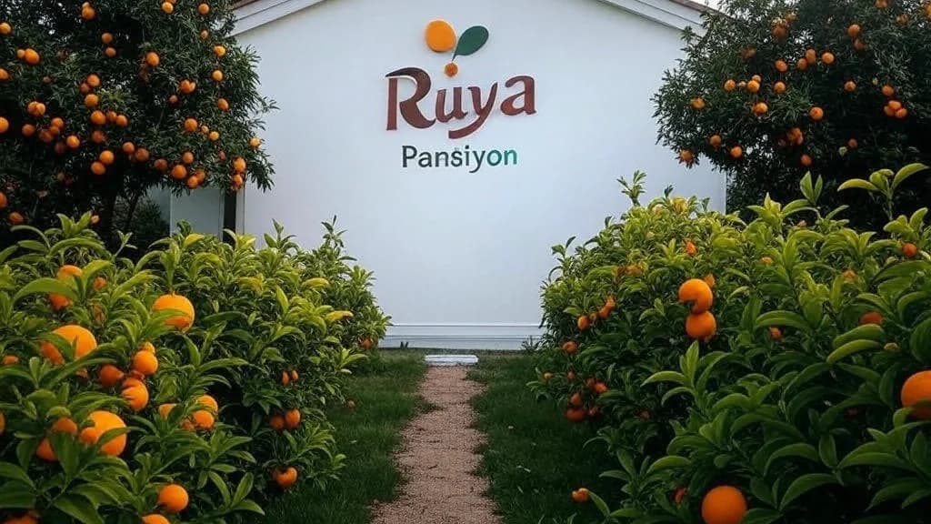 Olympos Rüya Pansiyon