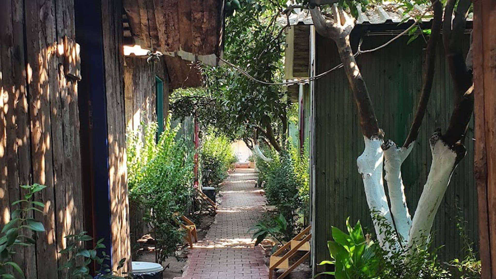 Olympos Rüya Pansiyon