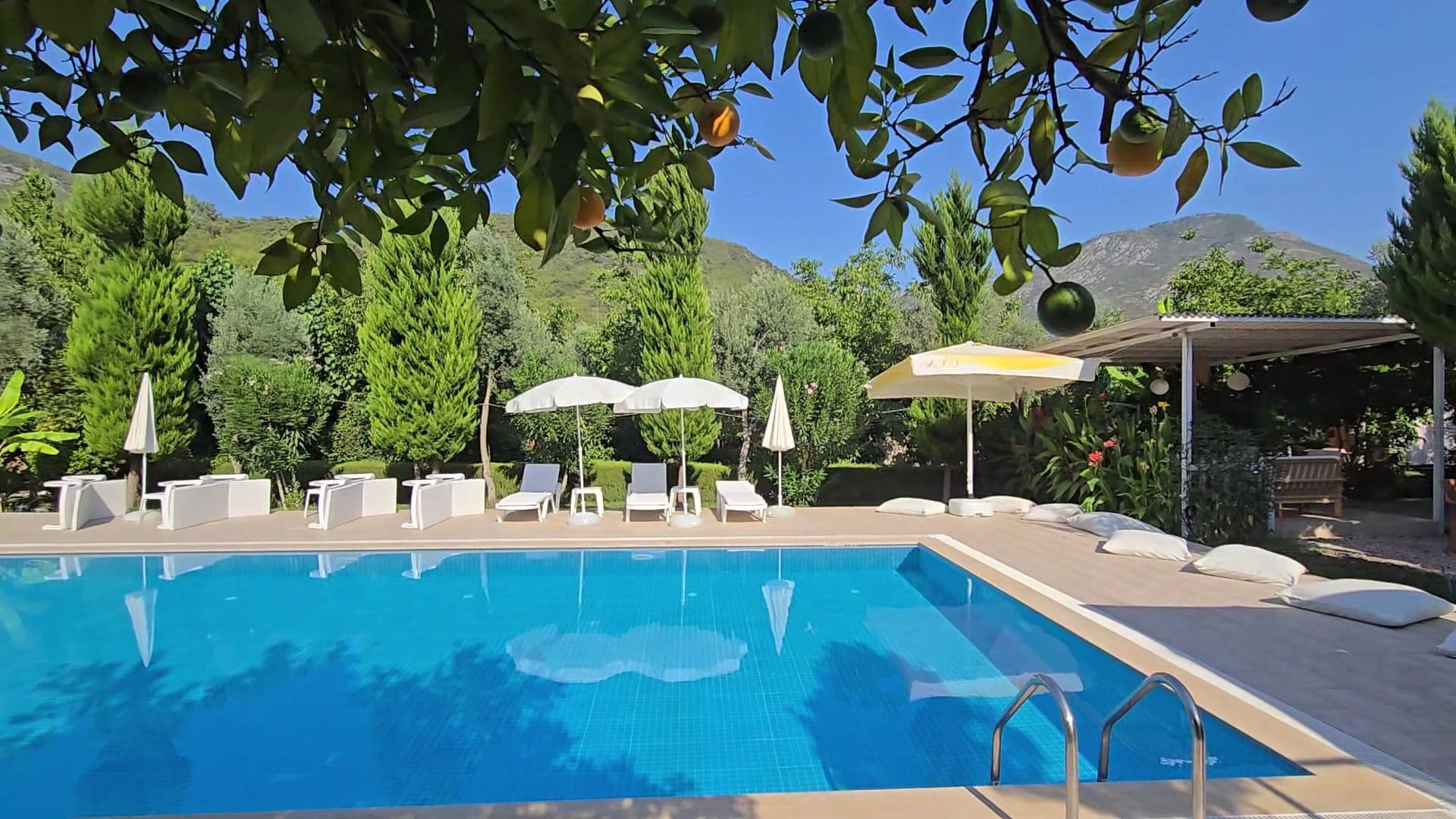 Olive Garden Olimpos