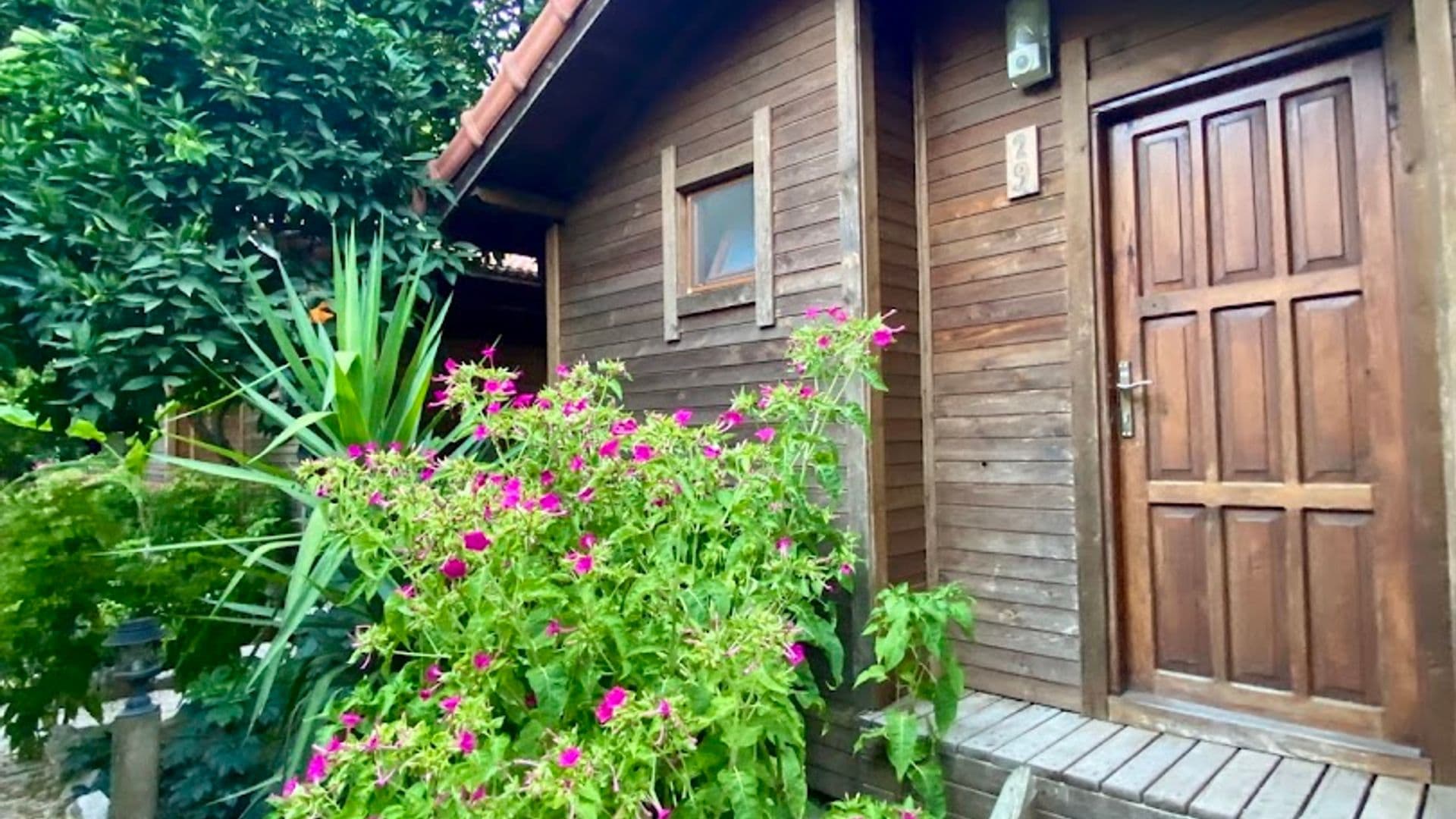 Nué Roastery & Academia Olimpos