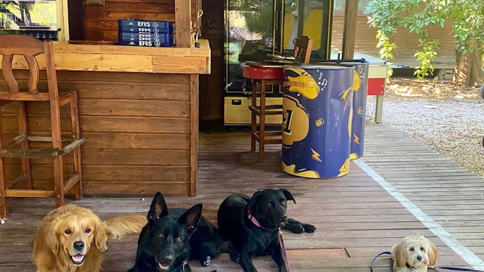 Nué Roastery & Academia Olimpos