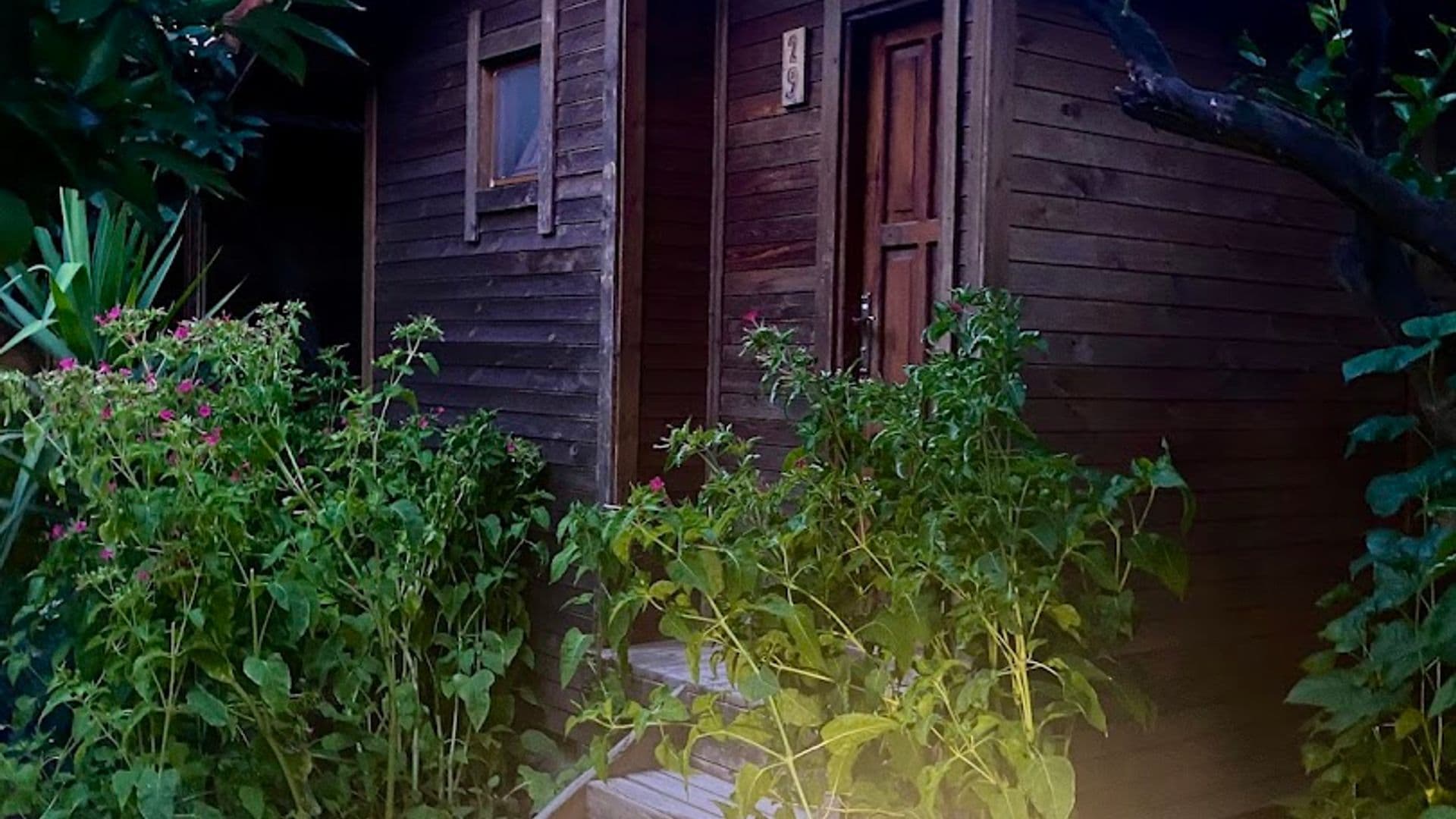 Nué Roastery & Academia Olimpos