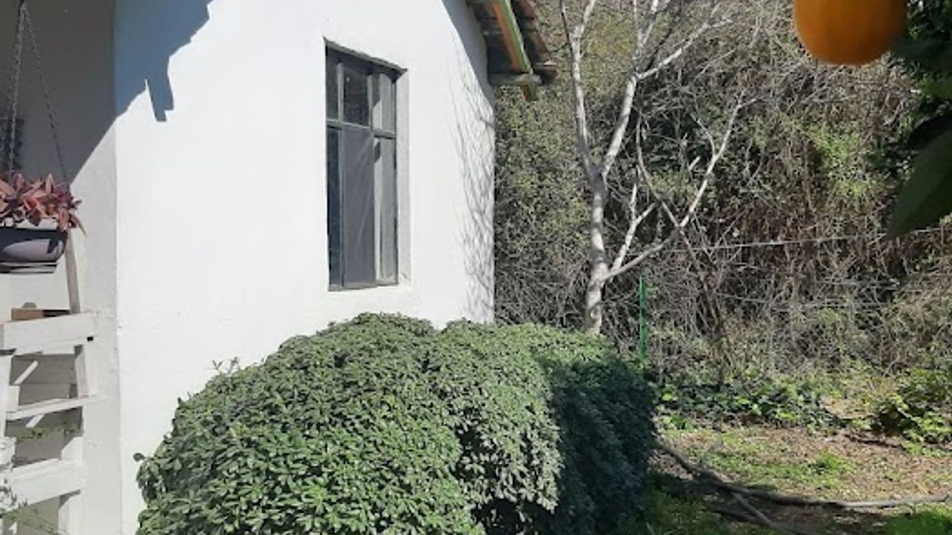 Cirali Friends Pension & Camping