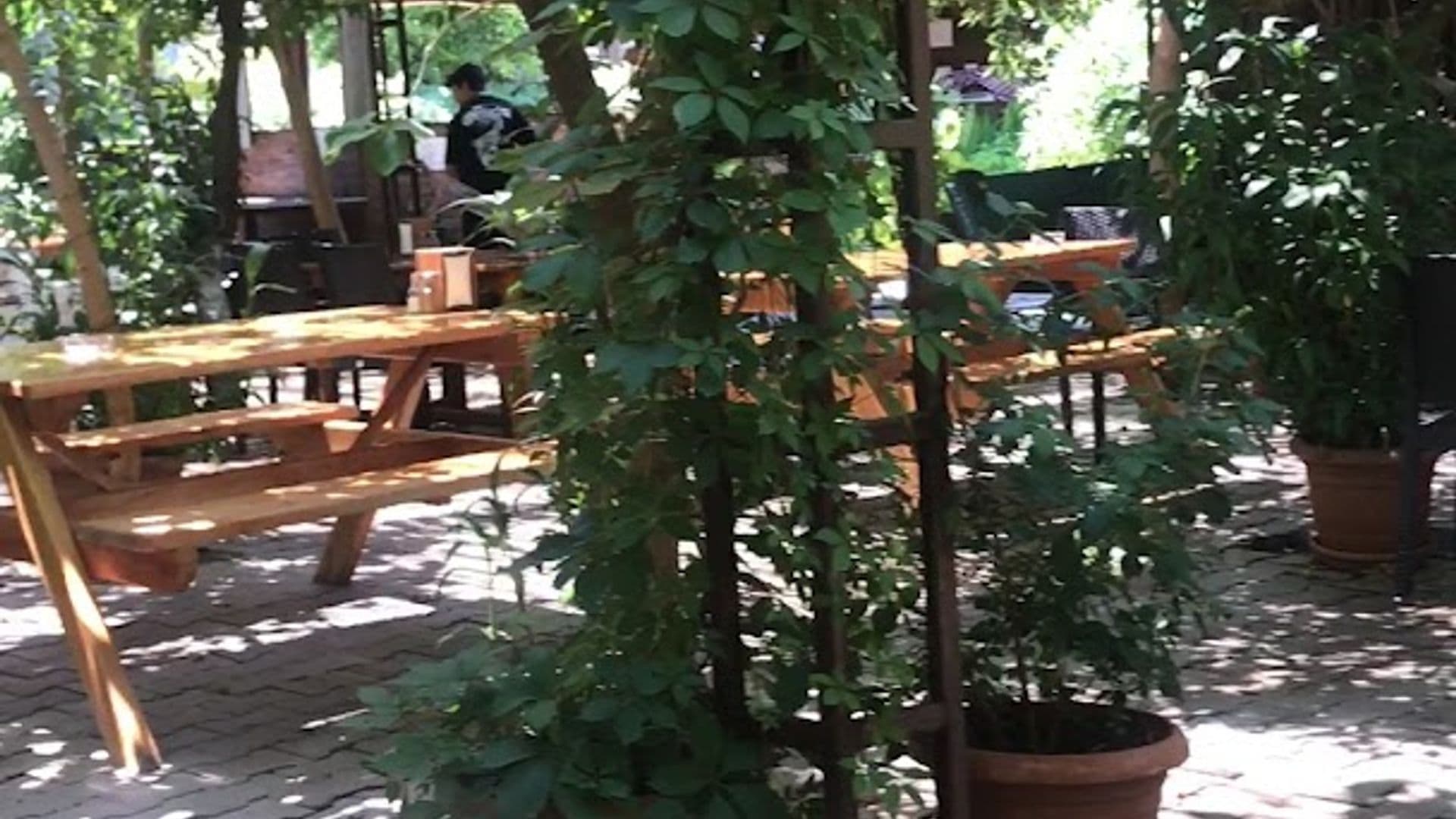 Olympos Mercan Bungalow Pansiyon