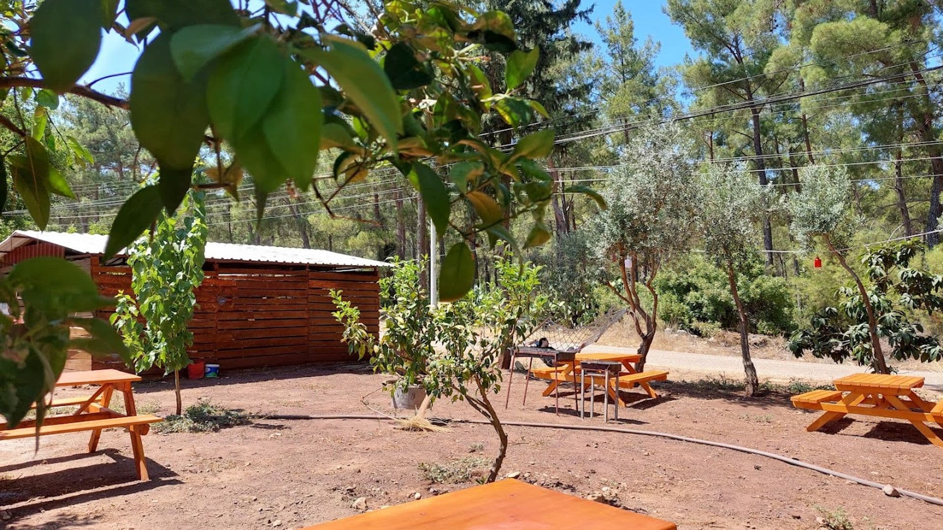 OLYMPOS YÖRÜK OTAĞI APART EVLERİ