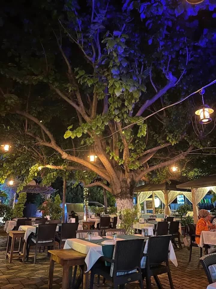 Çıralı Zakkum Restaurant