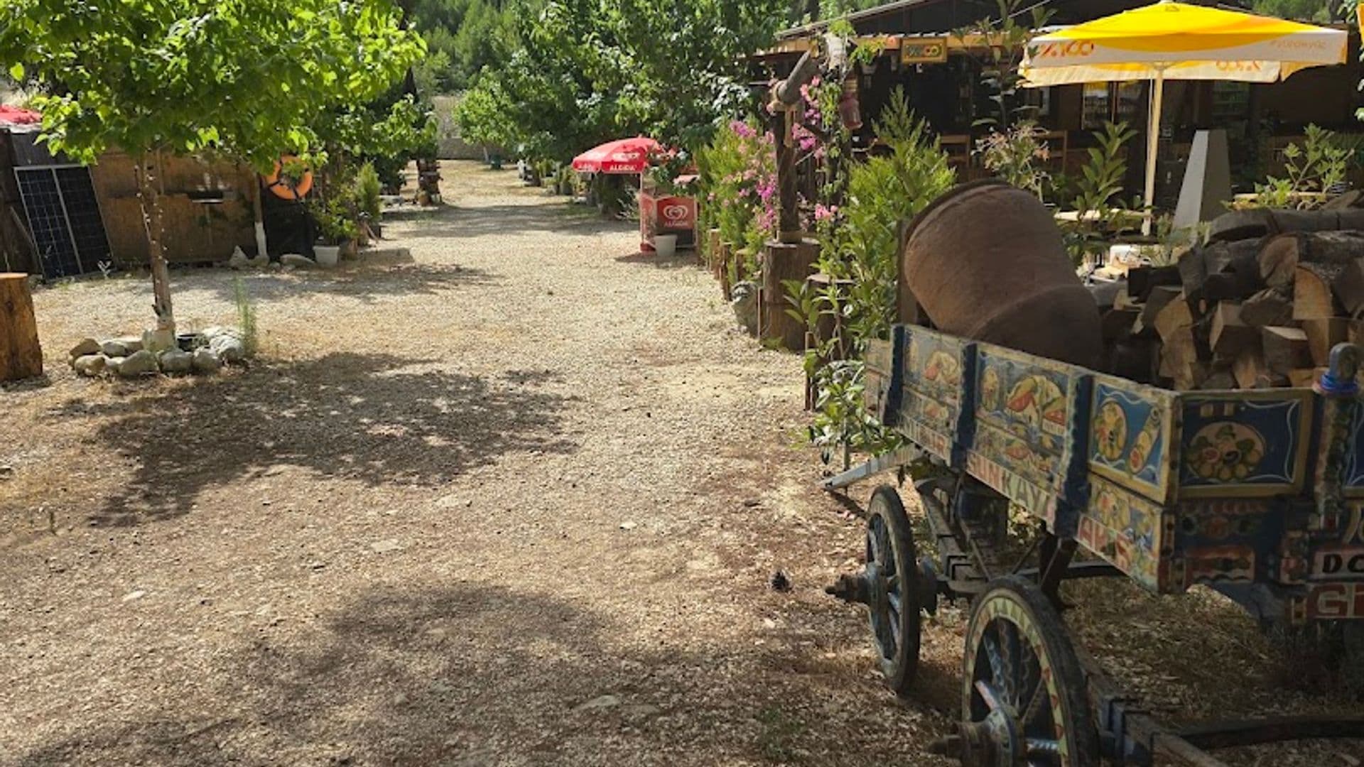 Linda Cafe Bar Olimpos