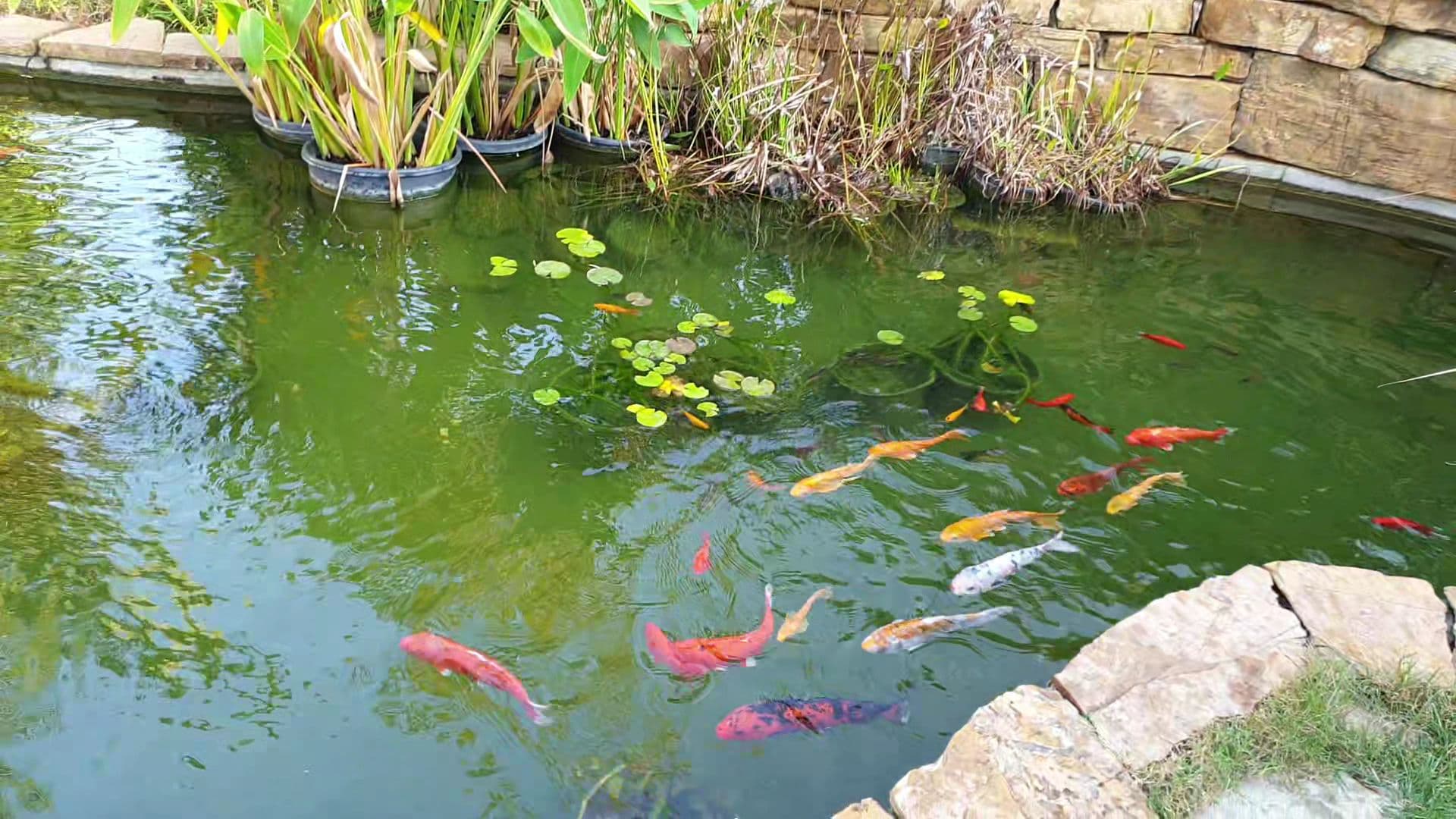 Çıralı Hera Hotel & Spa