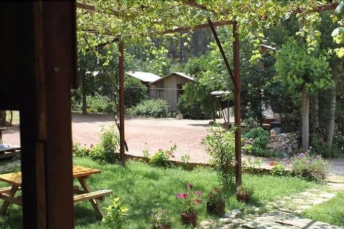 Olympos Camlik Pension