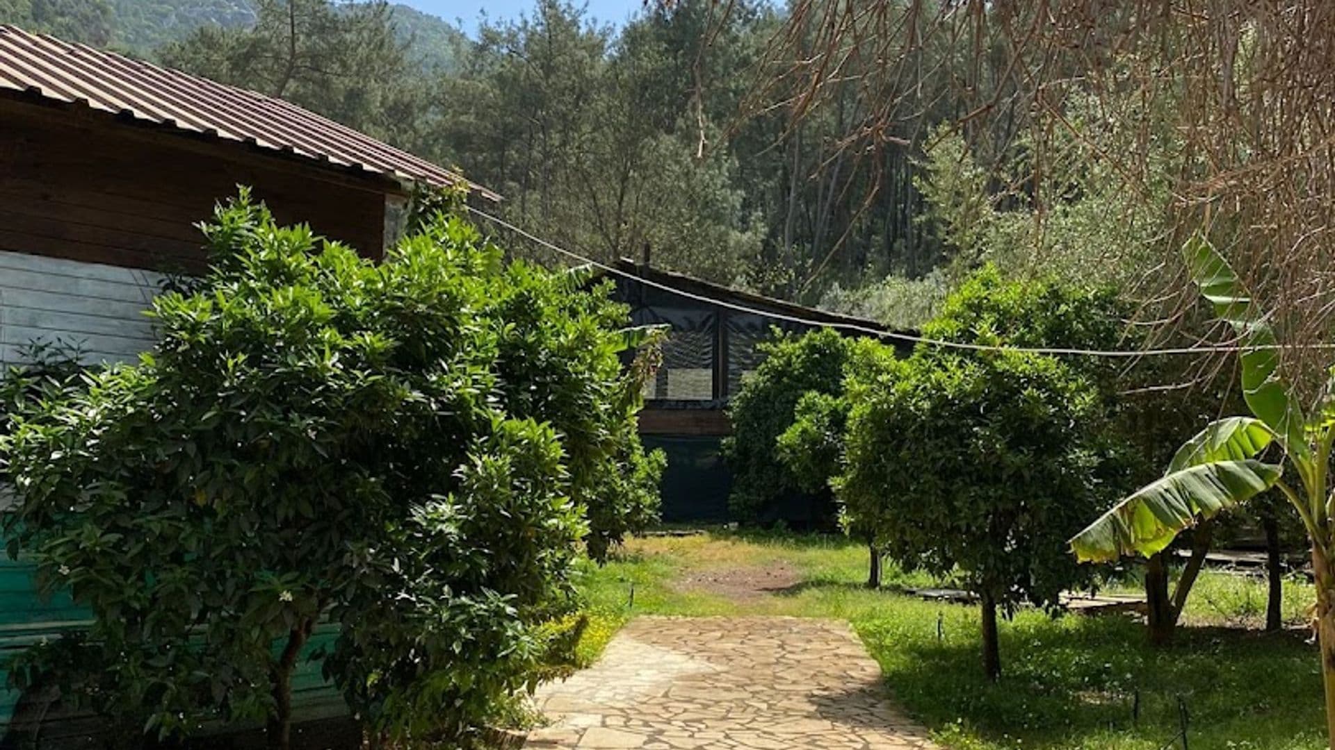 Olympos Camlik Pension