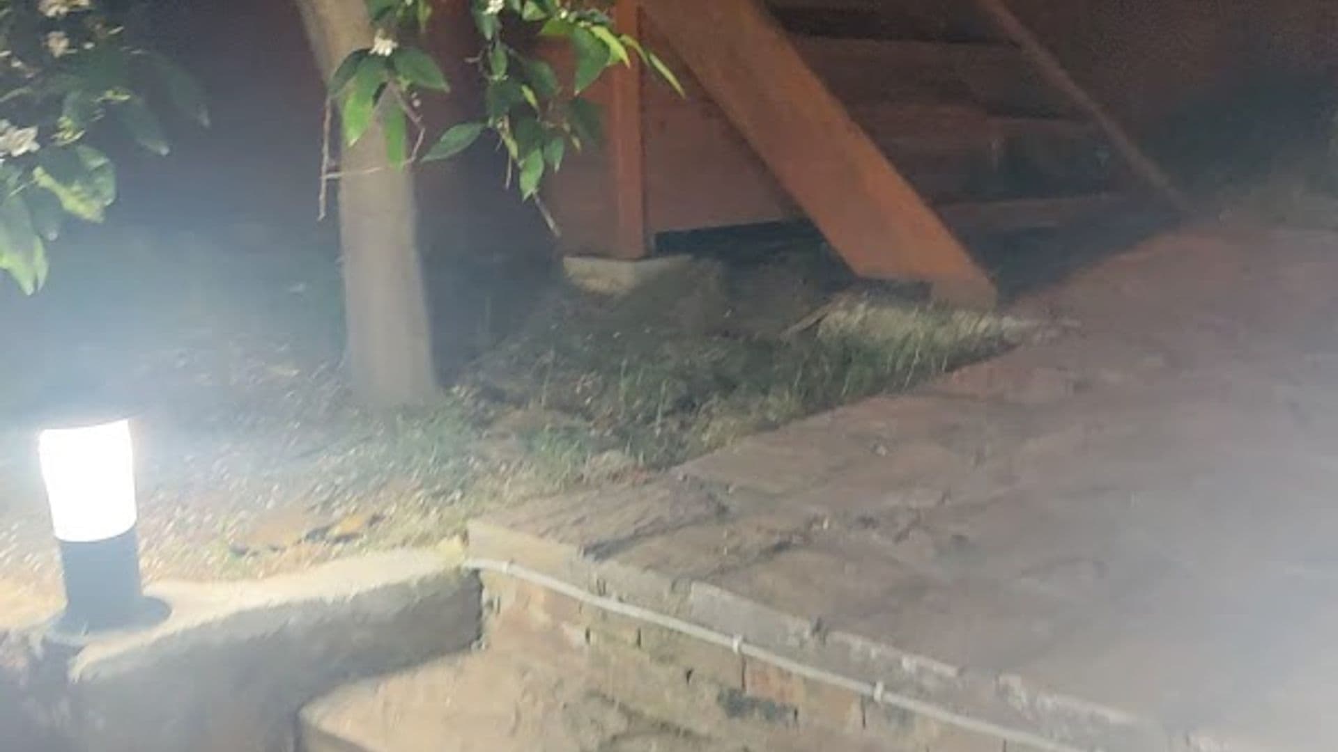 Olympos Altaris Pansiyon