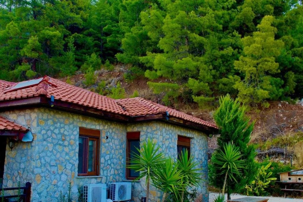 The Vista Village - Standard Villa