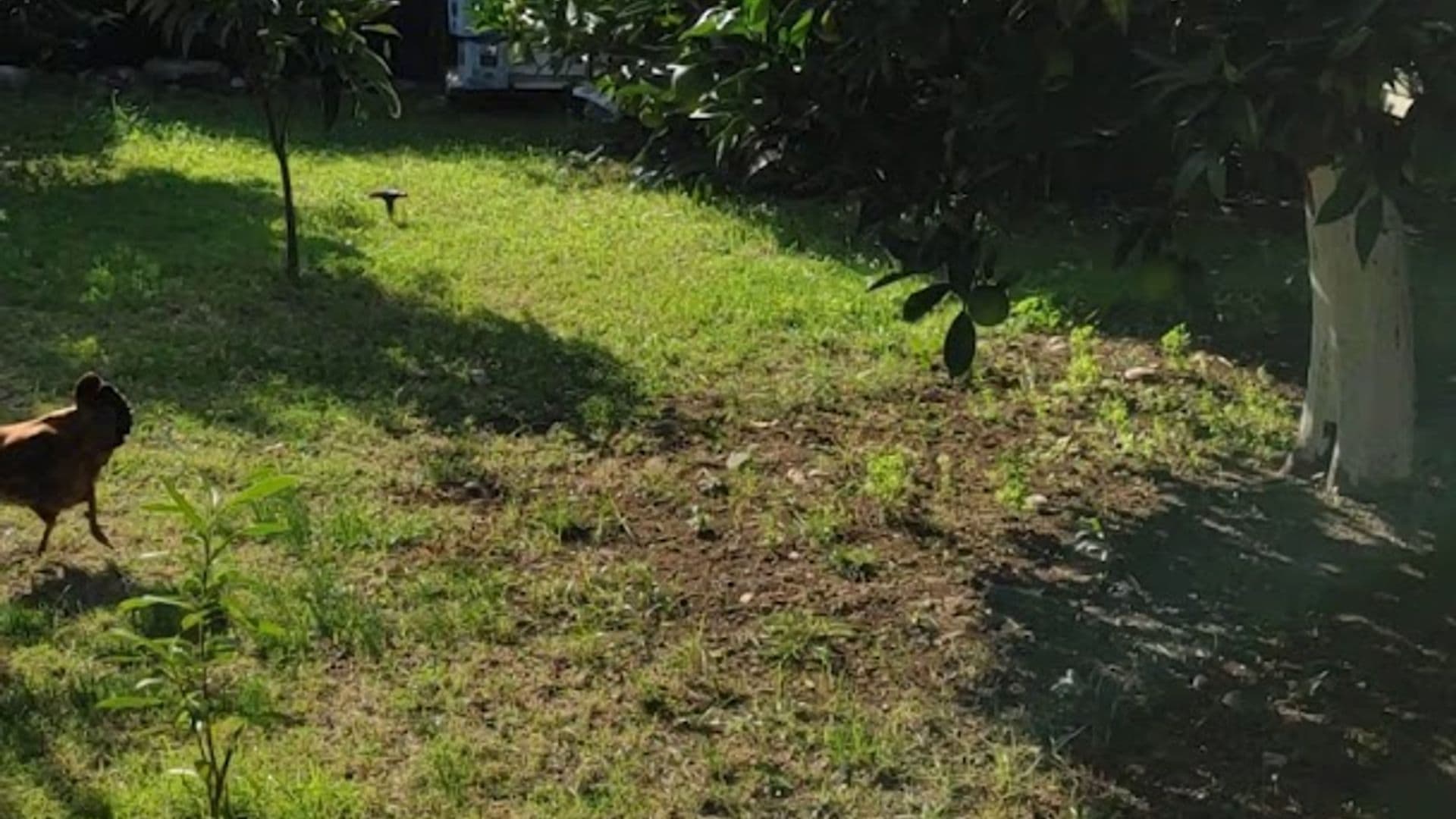 Çıralı Saklı Bahçe Pansiyon & Camping