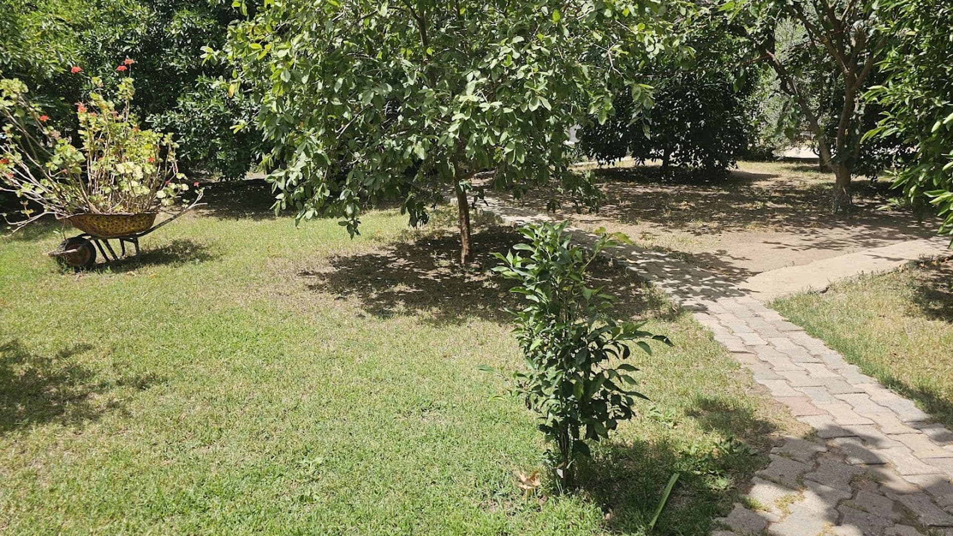 Çıralı Saklı Bahçe Pansiyon & Camping