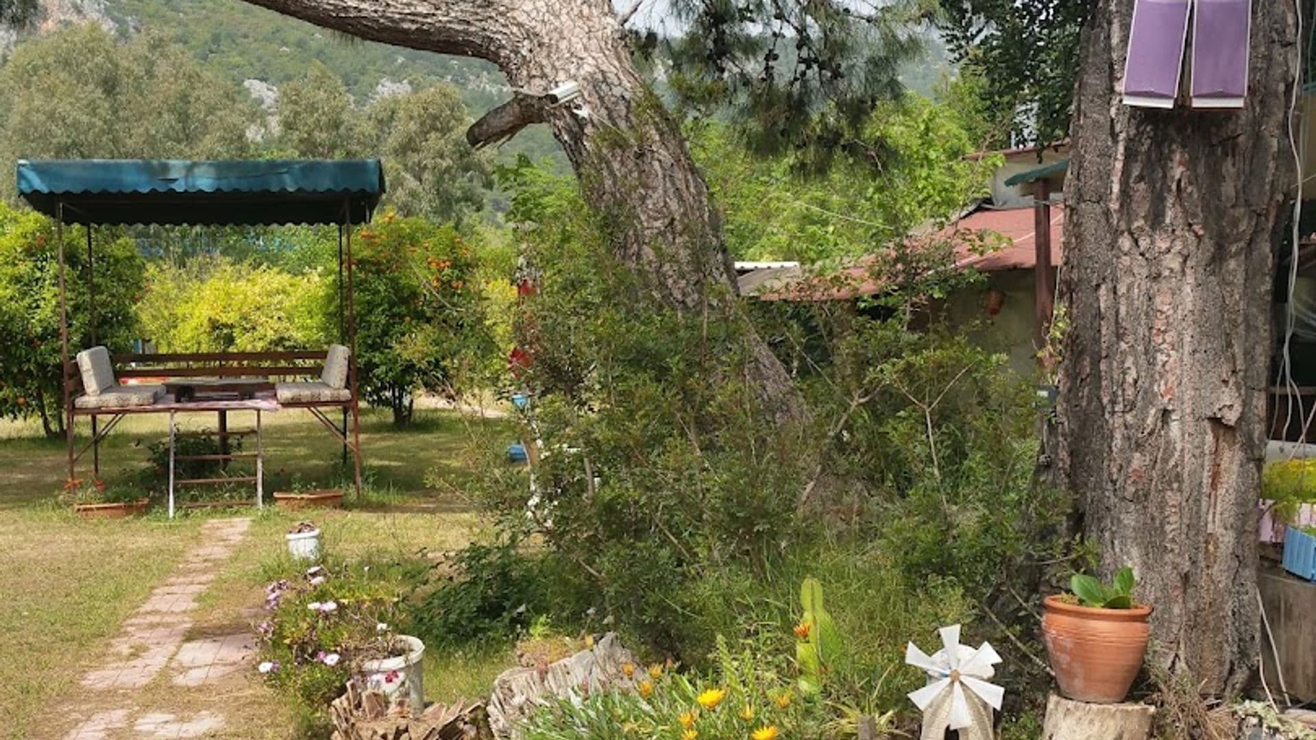 Punica Cafe Pansiyon