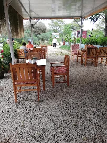 Punica Cafe Pansiyon