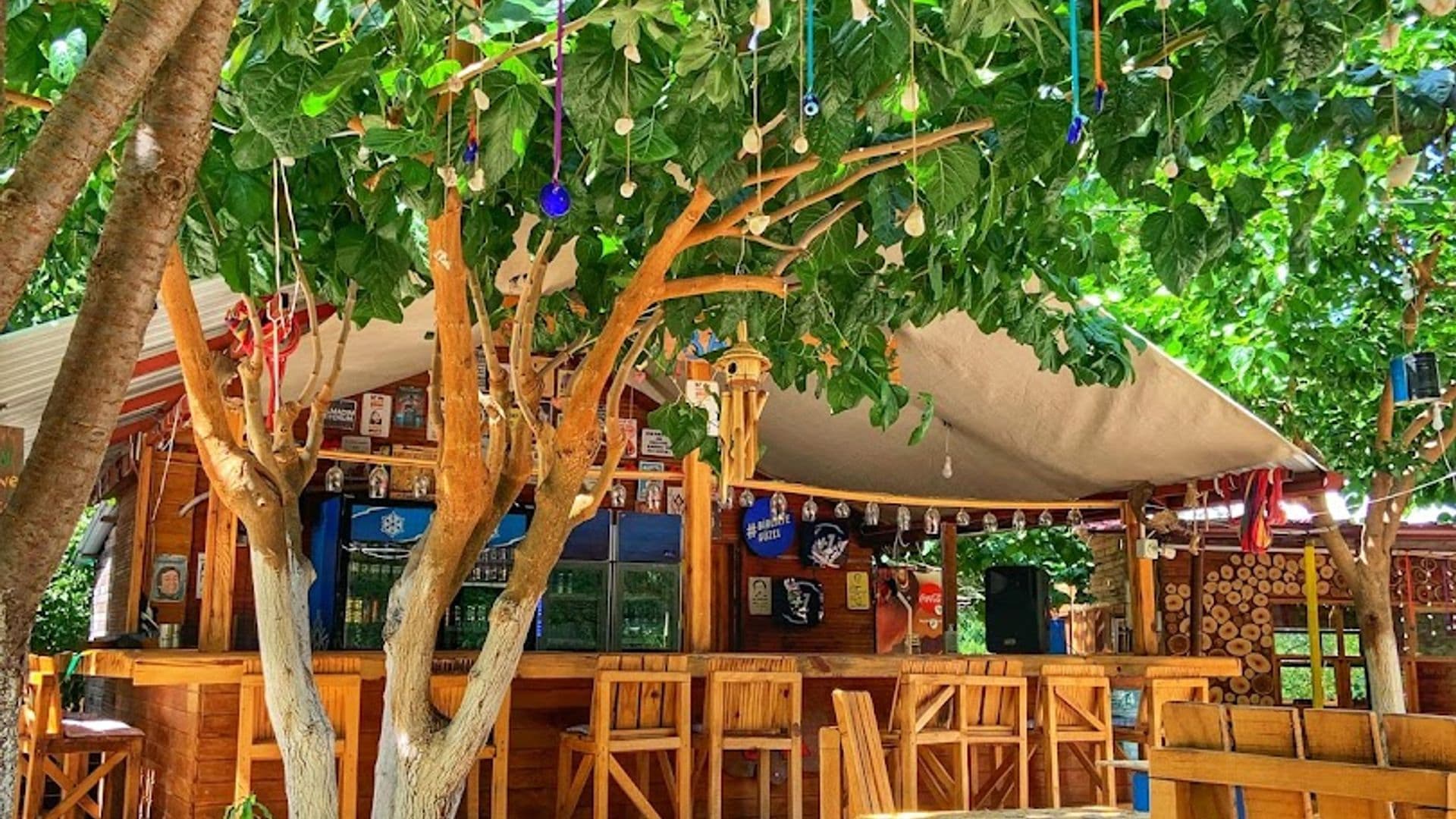 Olympos Altan Restaurant Cafe ve EMLAK