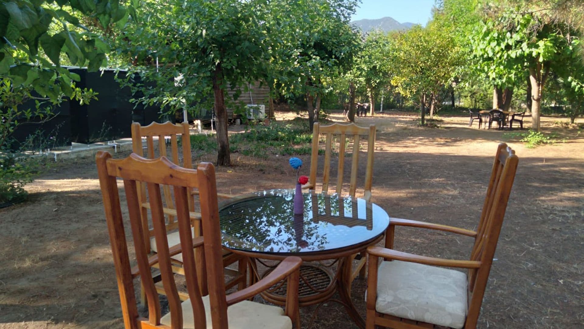 Çıralı Beach Camping & Caravan