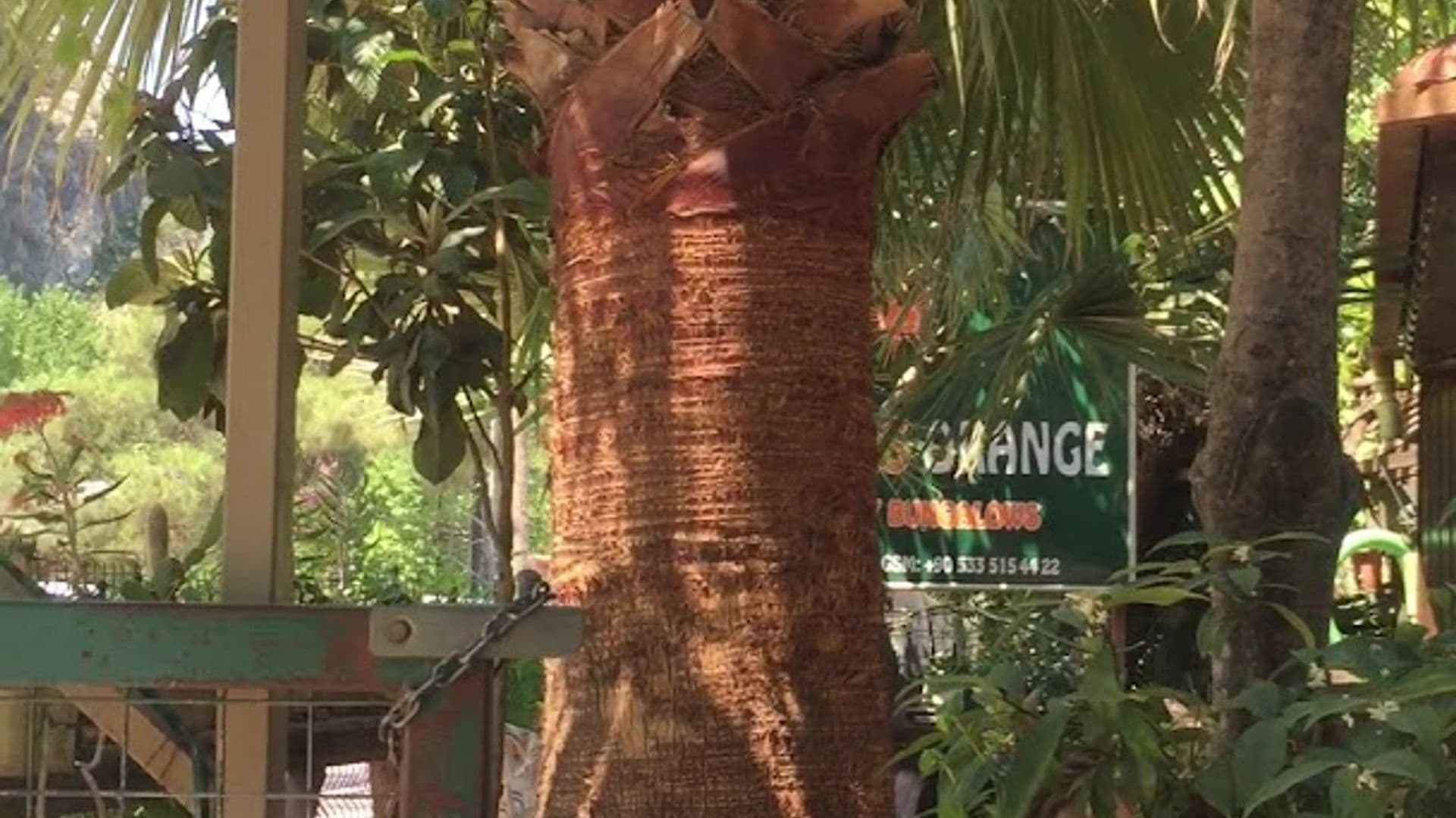 Olympos Orange Bungalows