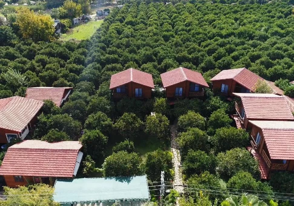 Bahçe Villa - Superior Villa