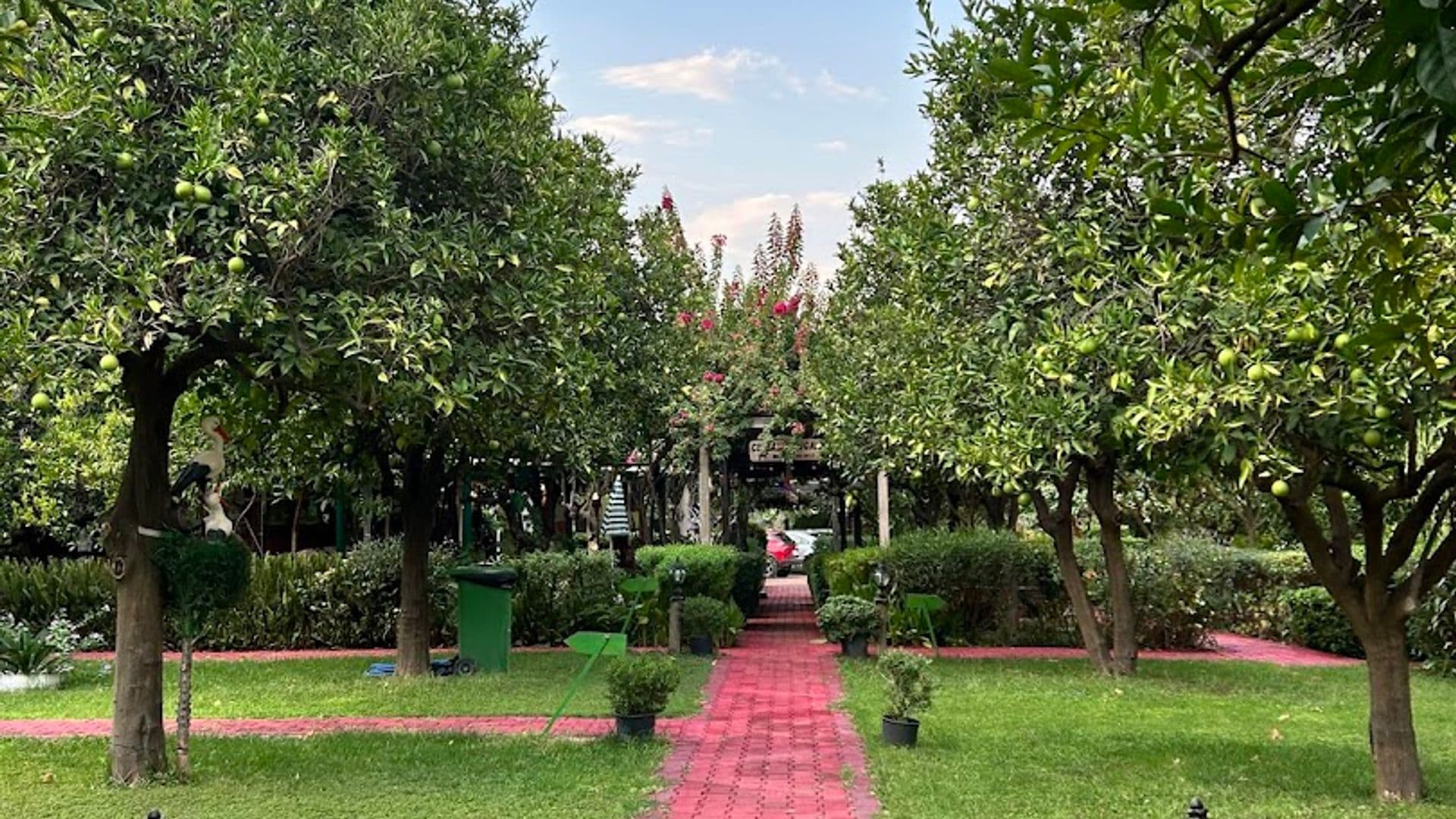 Ceylan Bungalow Cirali