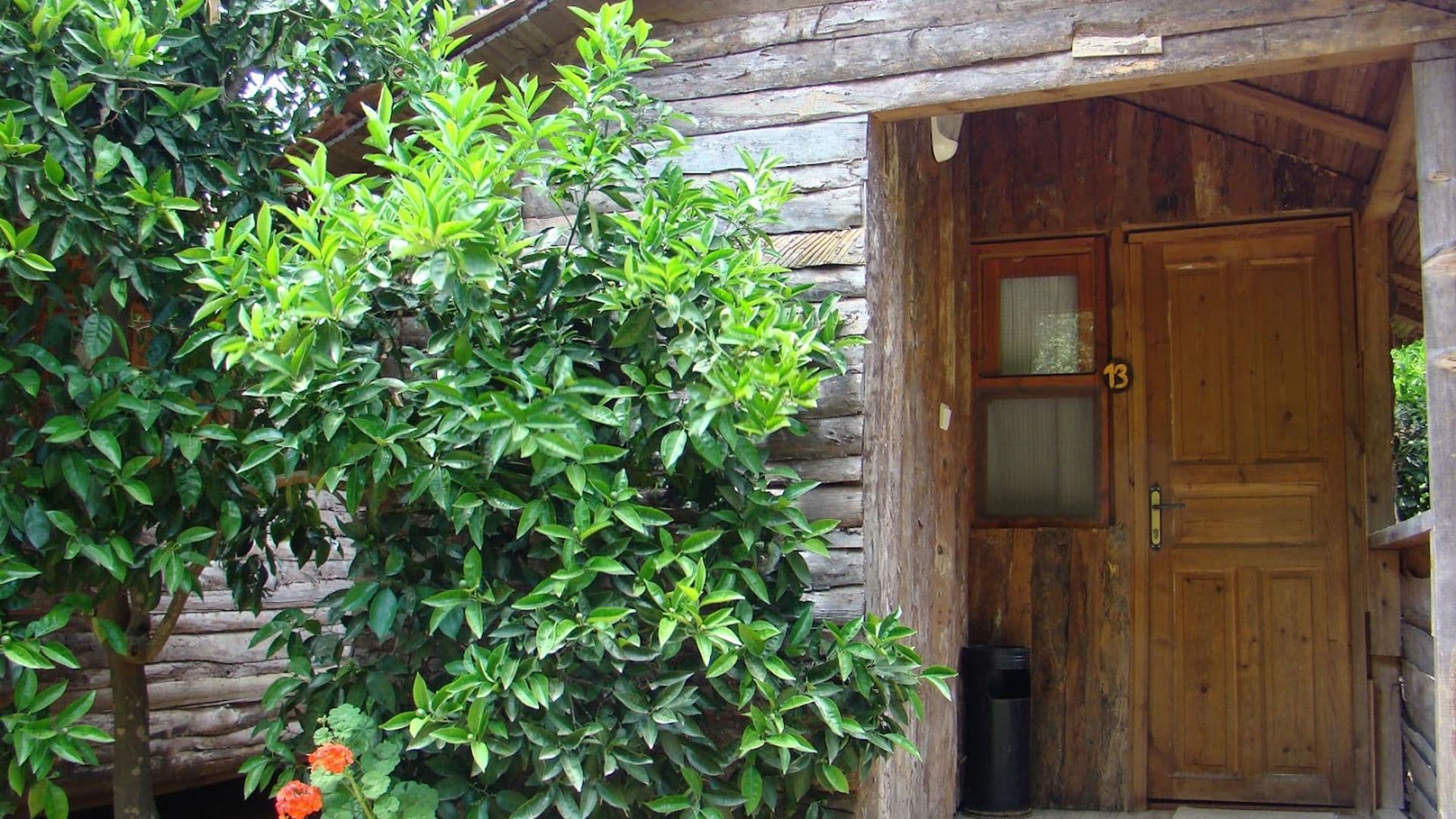 Deep Green Bungalows