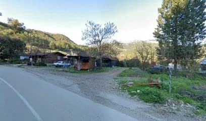 Renkli dünya köfte kokoreç