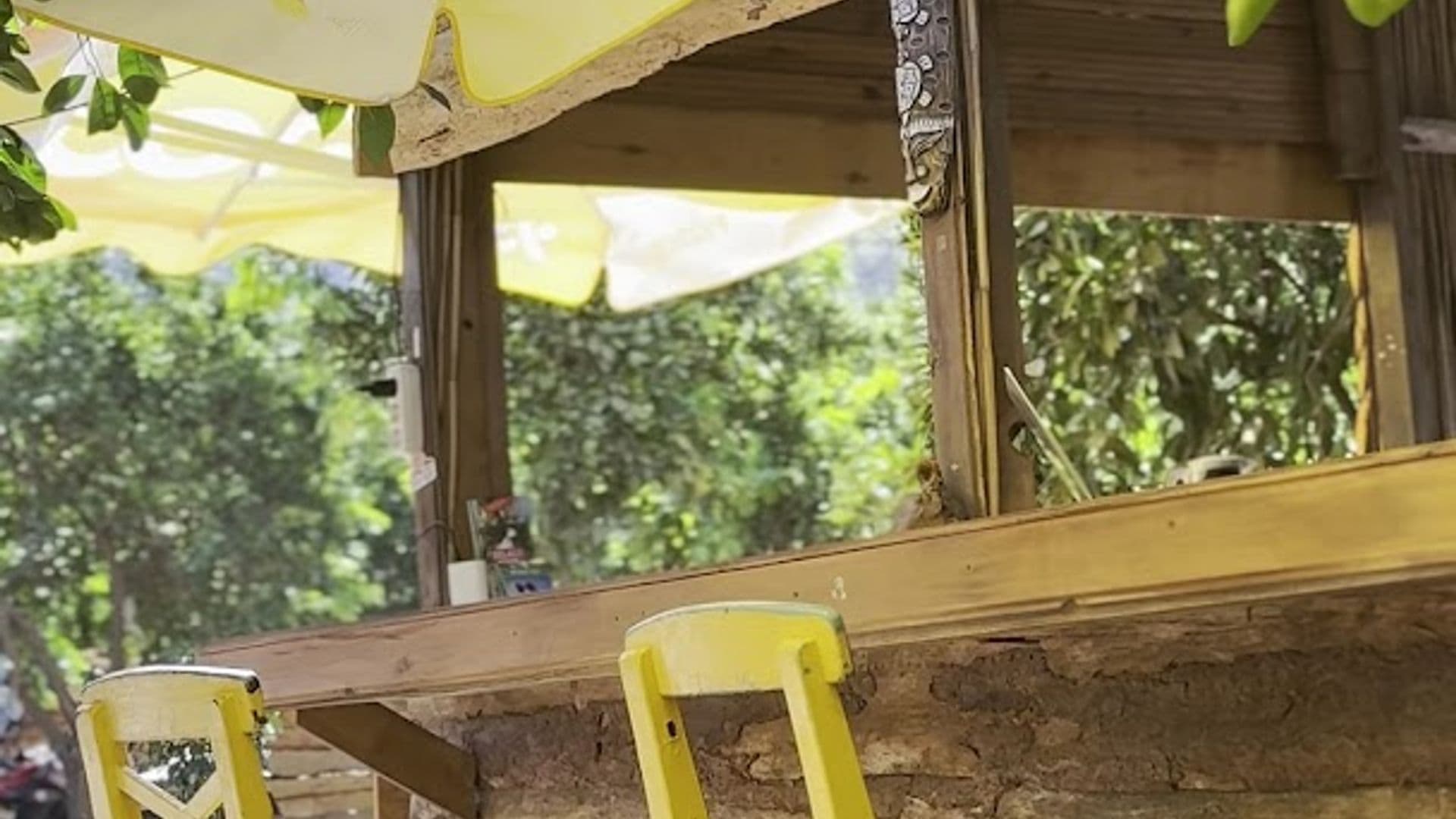 Çamlık Cafe Camping