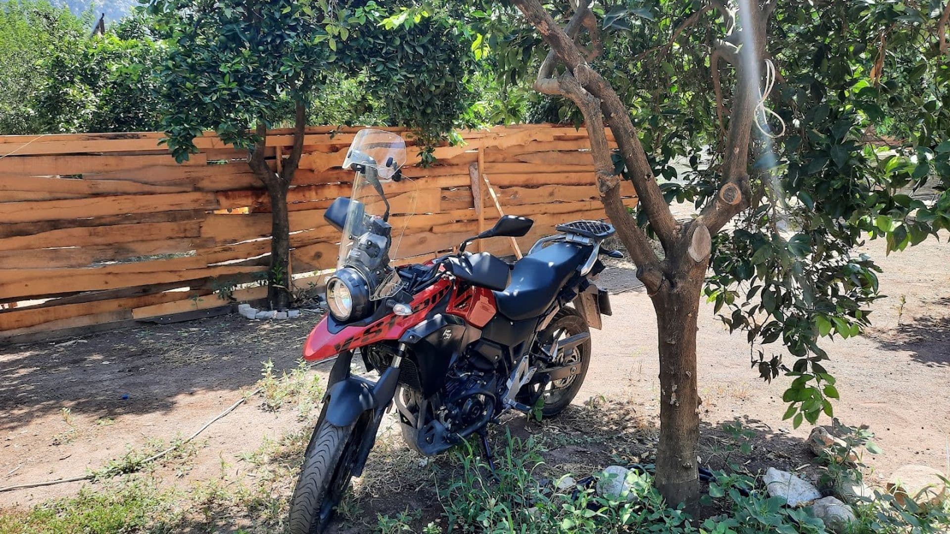 Çamlık Cafe Camping