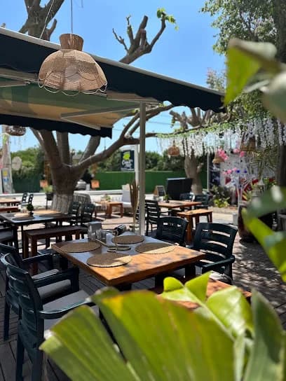 Cemil's Bistro Cafe Restaurant