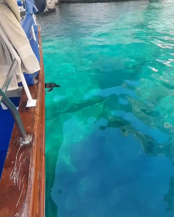 ÇIRALI EVRENCELL VIP BOAT TOUR