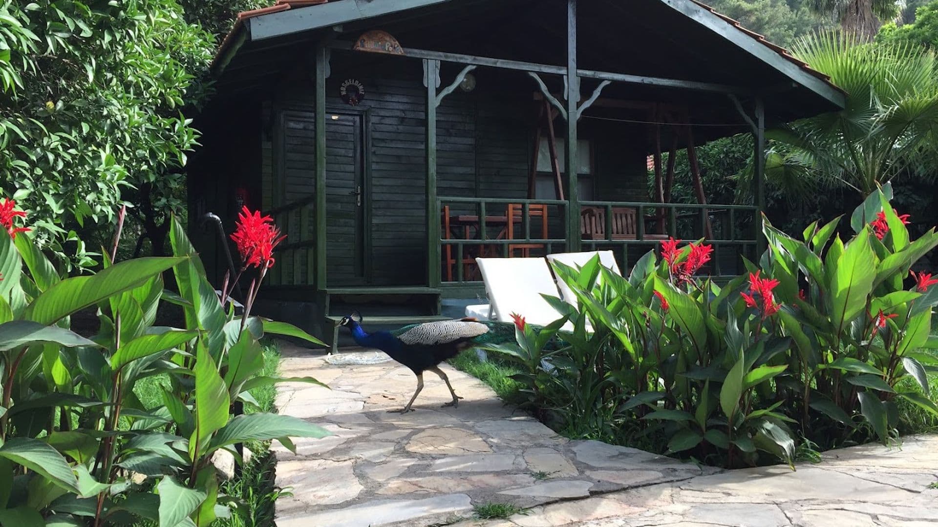 Yavuz Bungalow Hotel