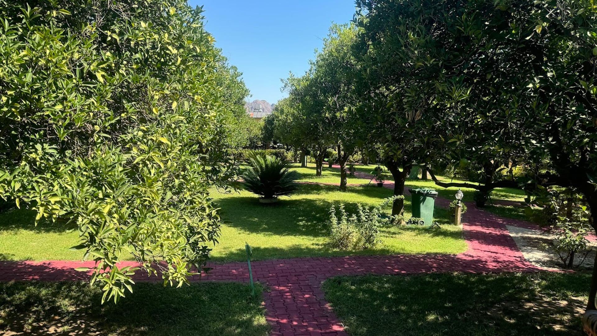 çıralı sahil yolu